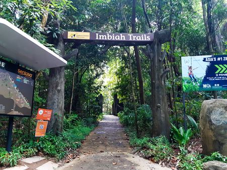 Sentosa Waterfall Guide to Imbiah Trail: Nature walk in Sentosa