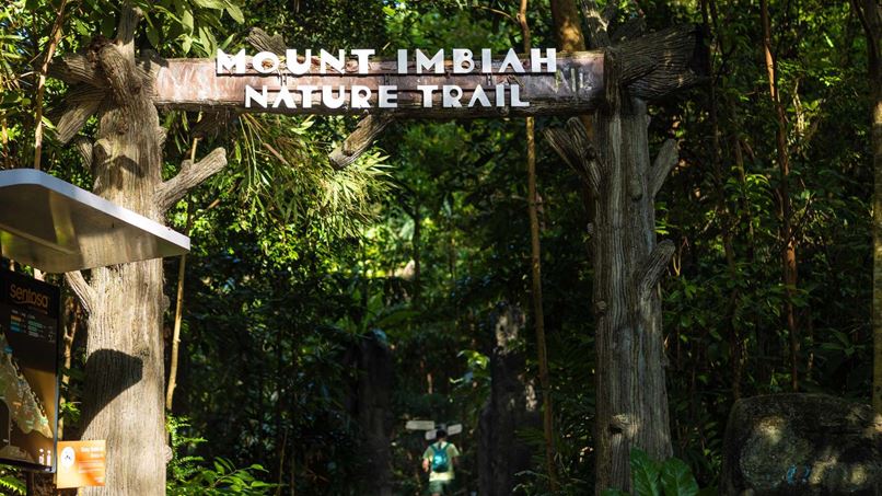 Sentosa Waterfall Guide to Imbiah Trail: Nature walk in Sentosa