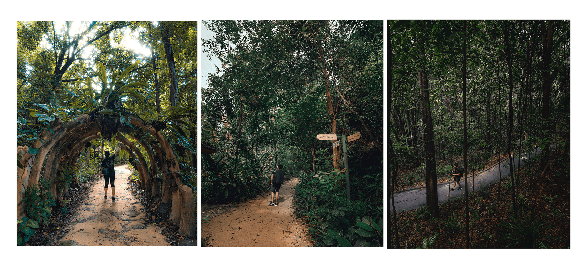 Sentosa Waterfall 5 hidden Insta-worthy spots on Sentosa