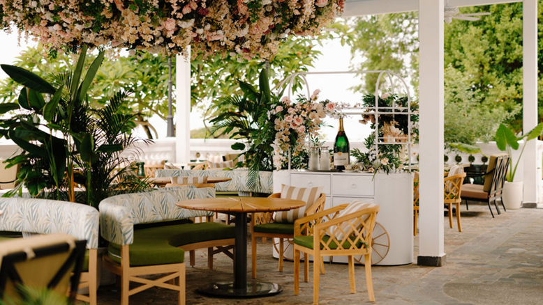 Sentosa Cafe Unleash the Fun: Dog-Friendly Adventures Await You in Sentosa