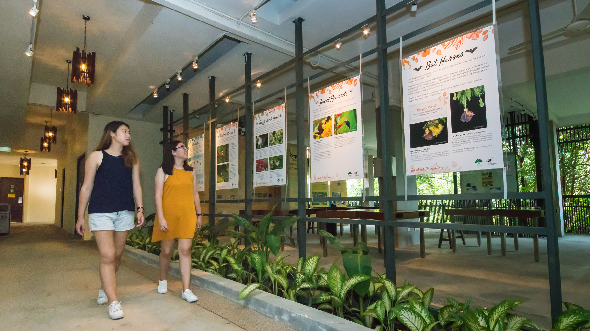 Image 6: Guests at Sentosa Nature Discovery