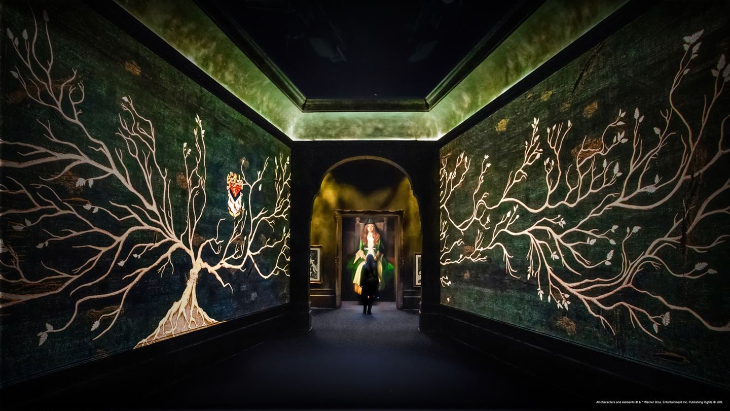 Harry Potter Visions of Magic