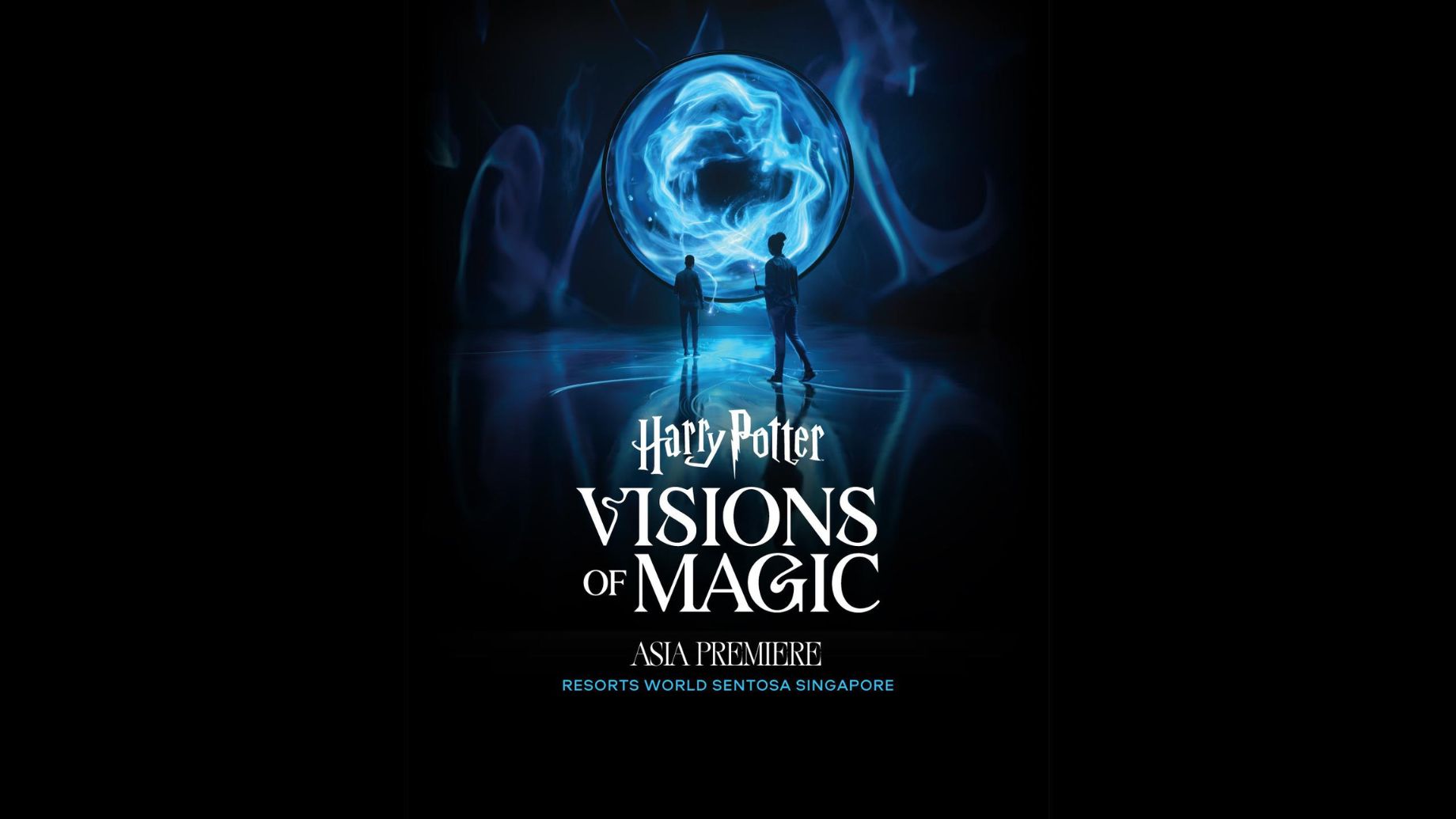 Harry Potter Visions of Magic