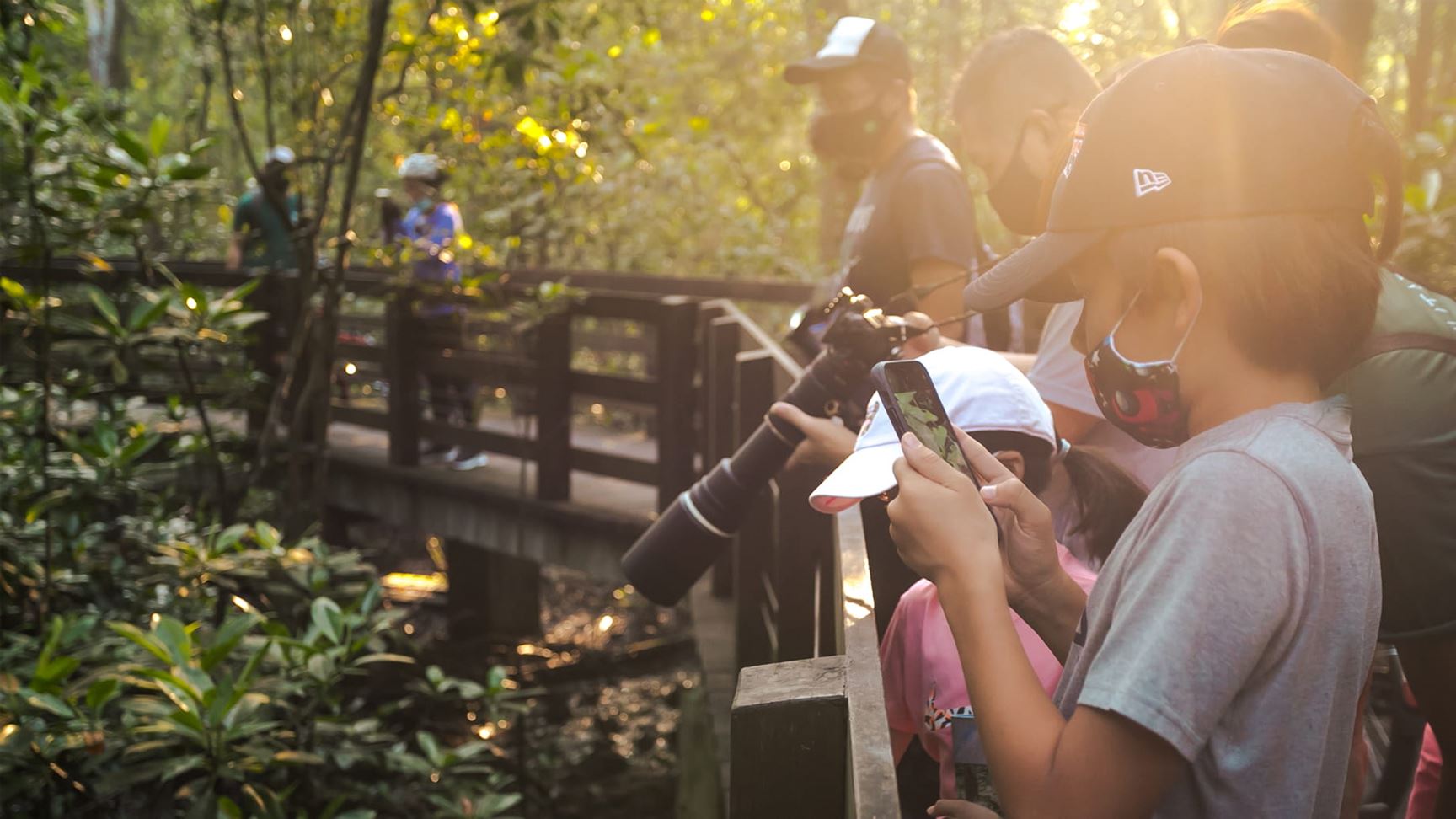 Introduction to Birdwatching | SentoSights